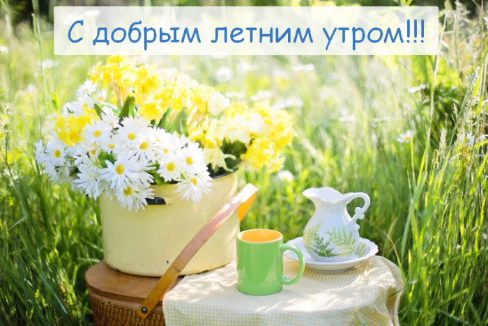 Картинки с добрым летним утром (195 открыток). Доброе летнее утро: картинки с надписями