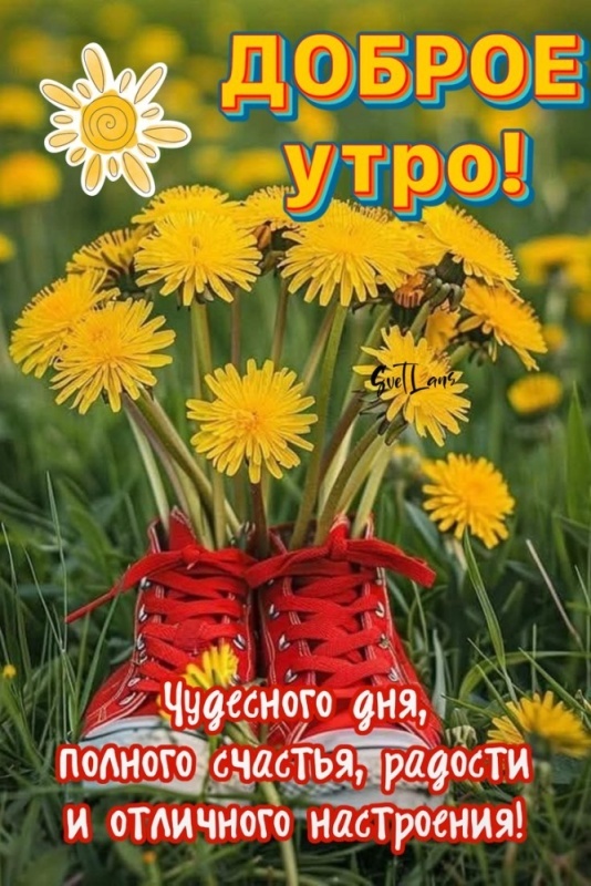 Картинки Доброе июльское утро. Картинки Доброе июльское утро прикольные