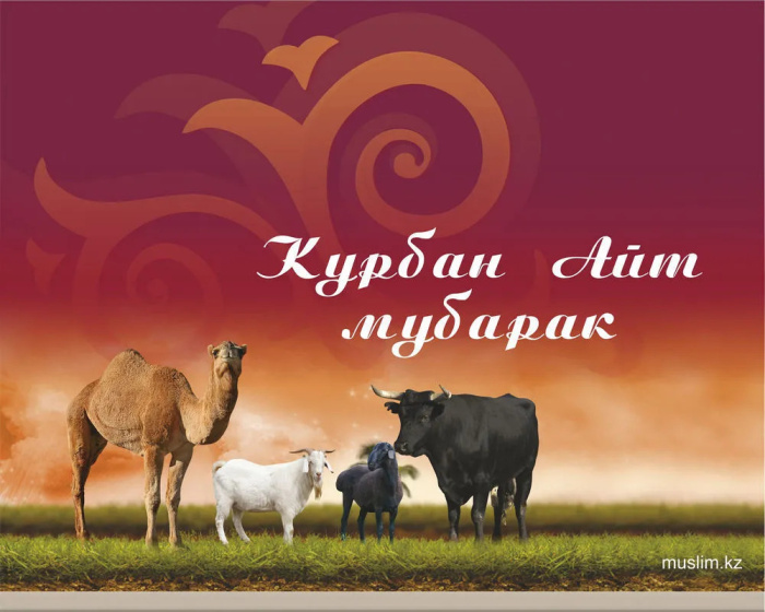 Картинки с праздником Курбан Байрам (330 открыток). Курбан-байрам: картинки с поздравлениями