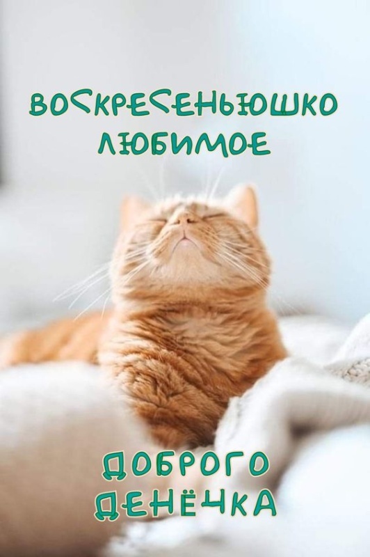 Картинки Доброе утро воскресенья (90 открыток). Прикольные картинки Доброе утро воскресенья