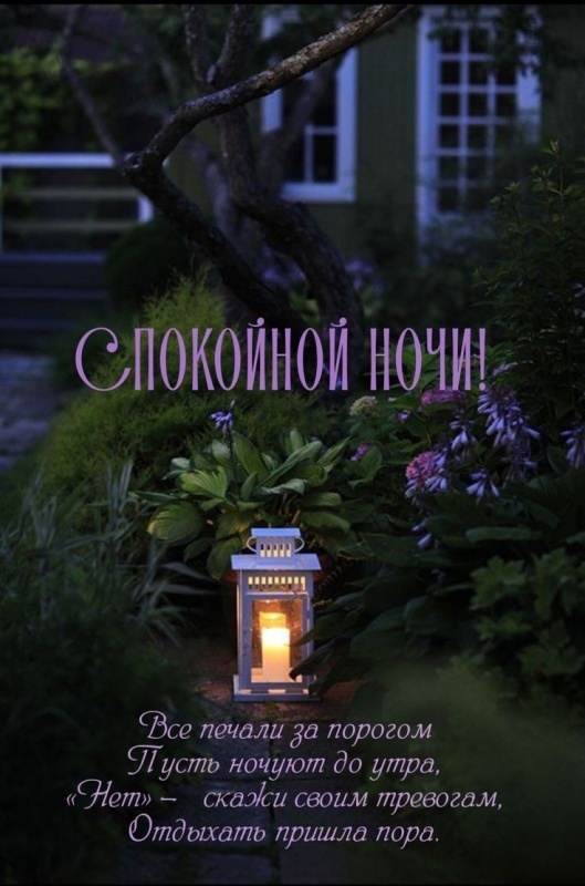 Картинки Спокойной ночи красивые, летние, прикольные. Спокойной ночи - картинки с пожеланиями