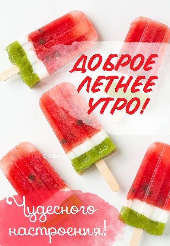 Картинки с добрым летним утром (195 открыток). Позитивные картинки с пожеланием Доброго летнего утра