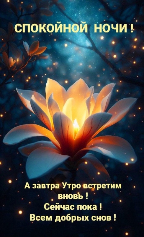 Картинки "Доброй летней ночи". Красивые открытки Доброй летней ночи с цветами