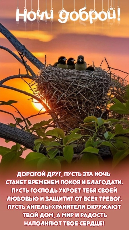 Картинки "Доброй летней ночи". Добрый летний вечер - картинки с пожеланиями