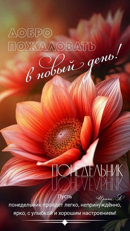 Открытки с Добрым утром понедельника (80 картинок). Картинки Доброе утро понедельника (красивые и новые)