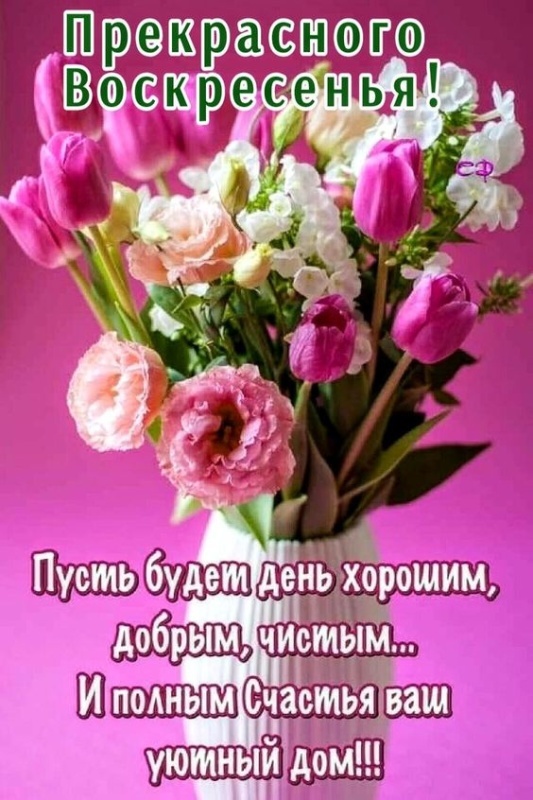 Картинки Доброе утро воскресенья (90 открыток). Картинки с надписью "Доброе утро воскресенья"