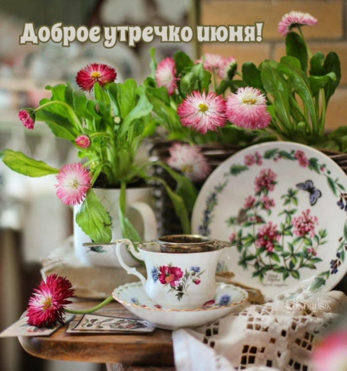 Картинки с добрым июньским утром (140 открыток). Доброе утро июня: картинки с надписями