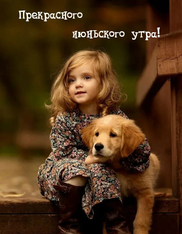 Картинки с добрым июньским утром (140 открыток). Доброе утро июня: картинки с надписями