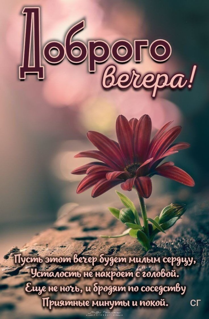Красивые картинки Добрый летний вечер (70 открыток). Доброго летнего вечера - картинки с пожеланиями
