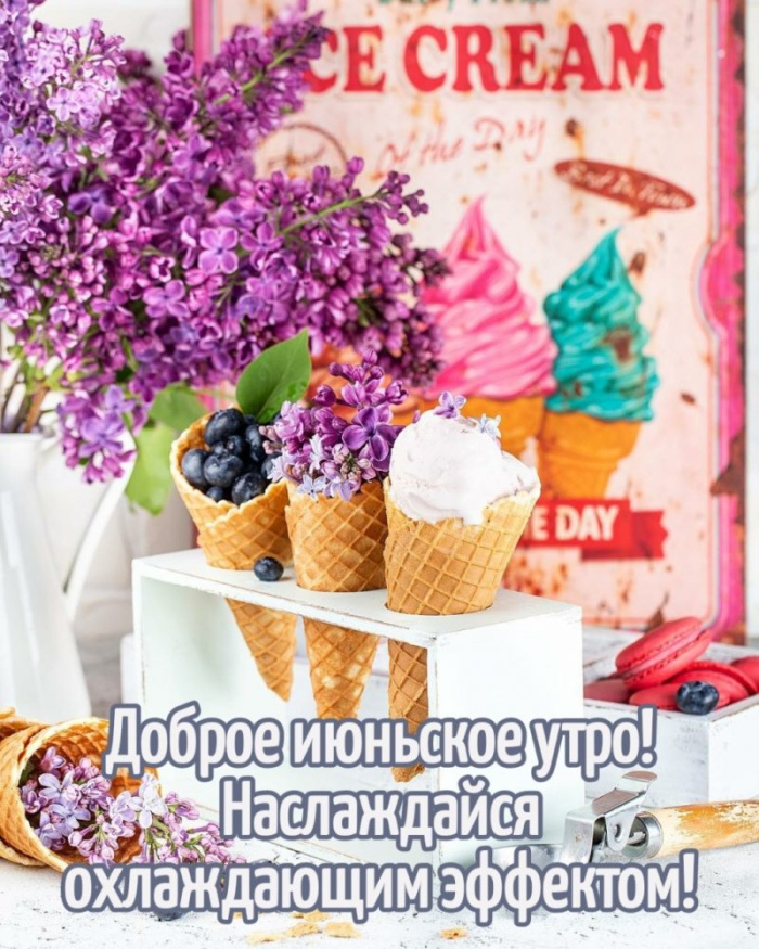 Картинки с добрым июньским утром (140 открыток). Позитивные картинки с пожеланием Доброго июньского утра