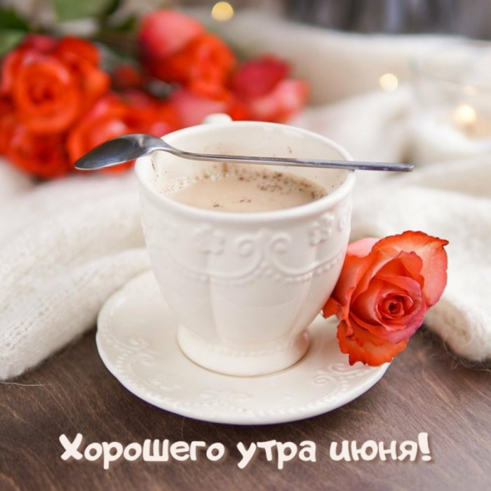 Картинки с добрым июньским утром (140 открыток). Доброе утро июня: картинки с надписями