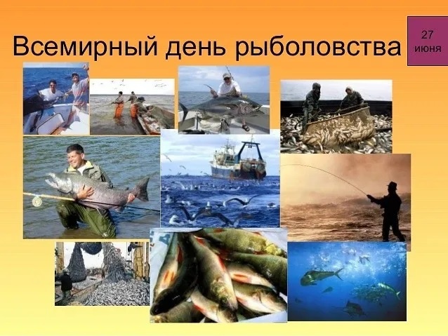 Прикольные картинки с Днем рыболовства (30 открыток). Прикольные открытки с Днем рыболовства