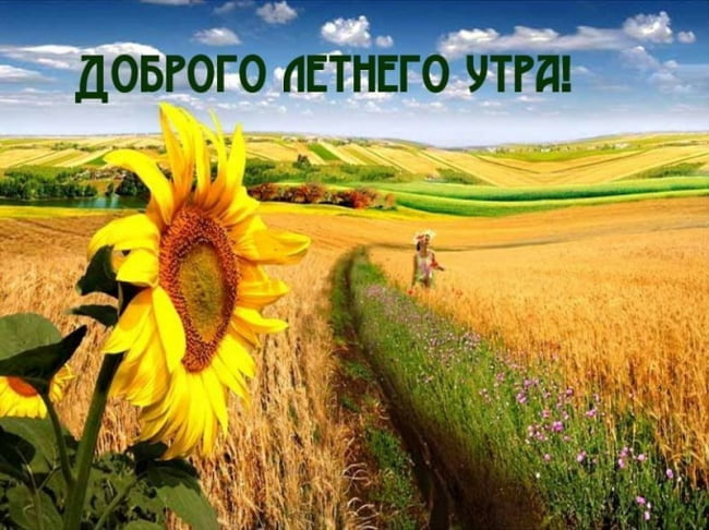 Картинки с добрым летним утром (195 открыток). Позитивные картинки с пожеланием Доброго летнего утра