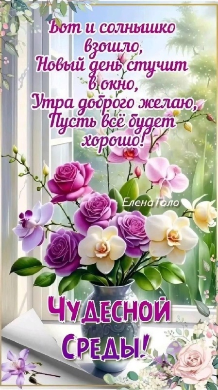 Картинки Доброе утро среды (90 открыток). Красивые картинки Доброе утро среды
