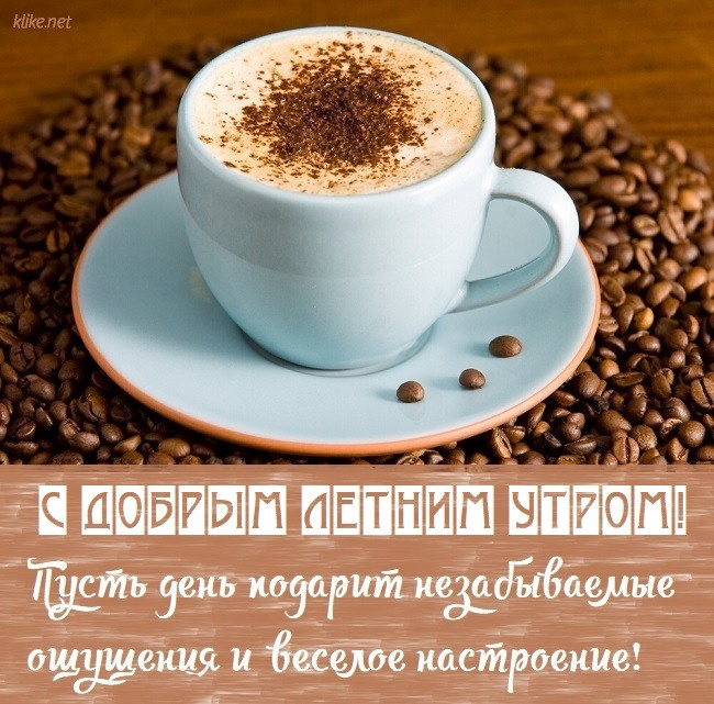 Картинки с добрым летним утром (195 открыток). Позитивные картинки с пожеланием Доброго летнего утра