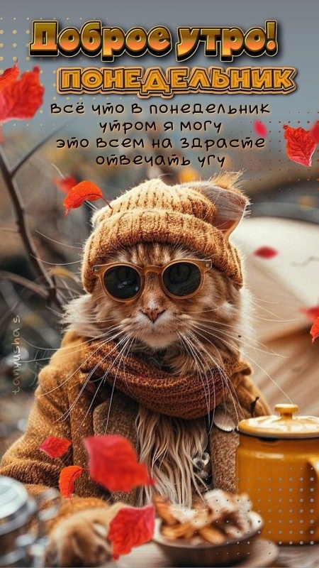 Открытки с Добрым утром понедельника (80 картинок). Прикольные картинки с добрым утром понедельника