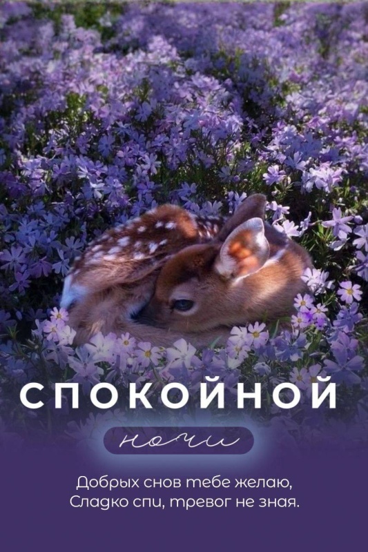 Картинки "Доброй летней ночи". Добрый летний вечер - картинки с пожеланиями