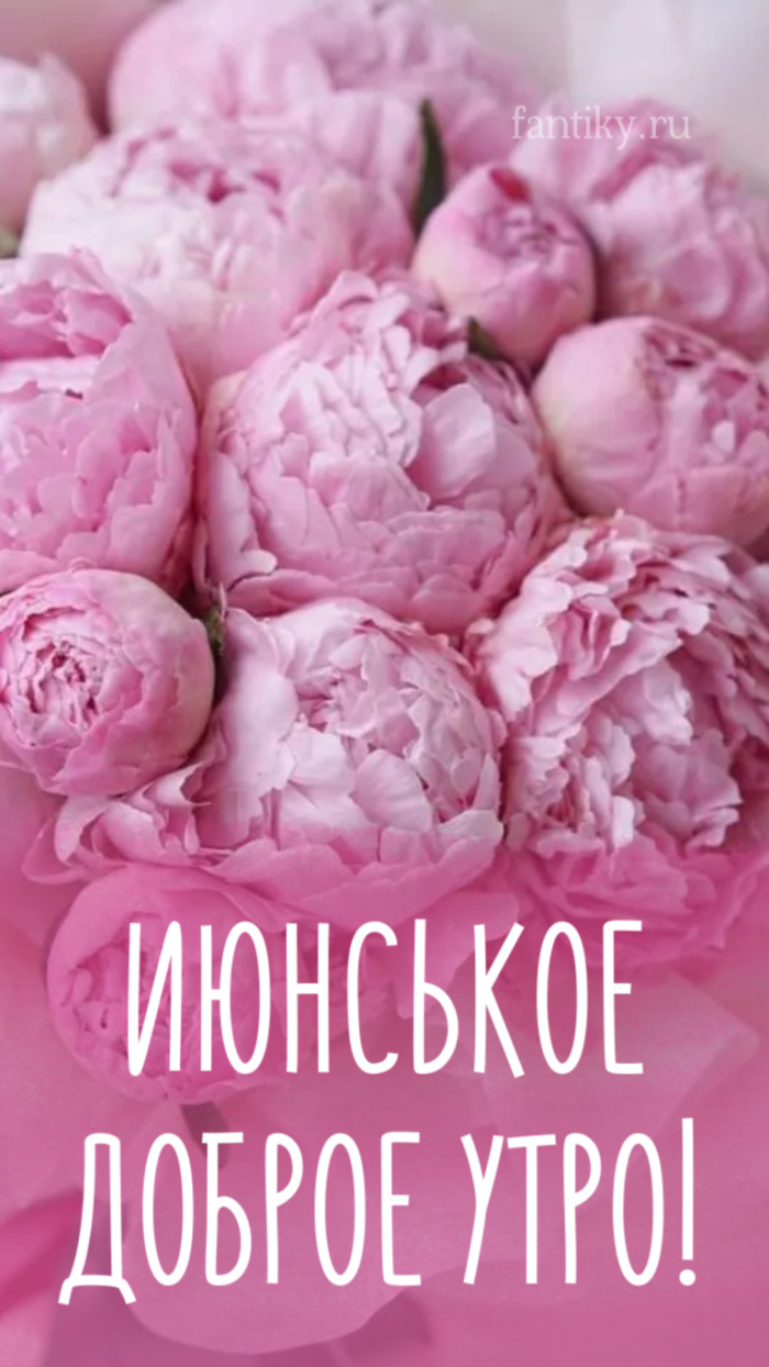 Картинки с добрым июньским утром (140 открыток). Позитивные картинки с пожеланием Доброго июньского утра