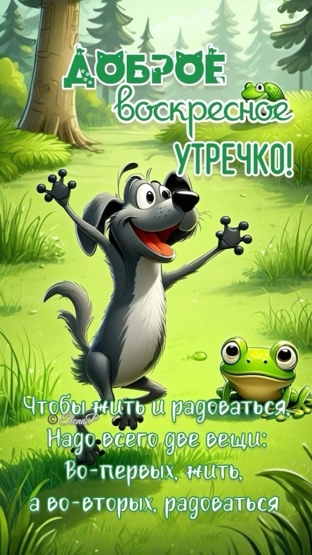Картинки Доброе утро воскресенья (90 открыток). Прикольные картинки Доброе утро воскресенья