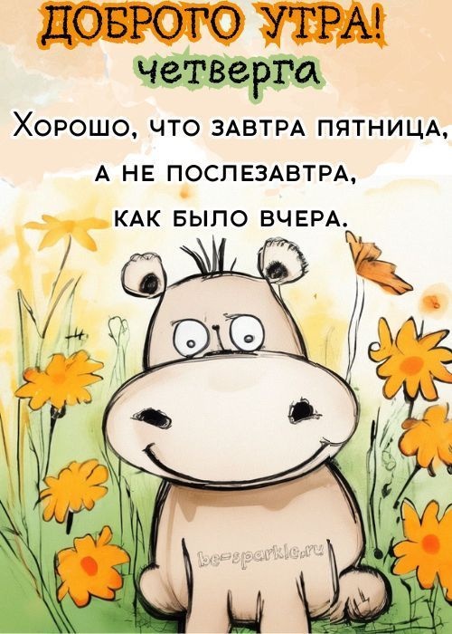 Картинки Доброе утро четверга (80 открыток). Позитивные картинки Доброе утро четверга