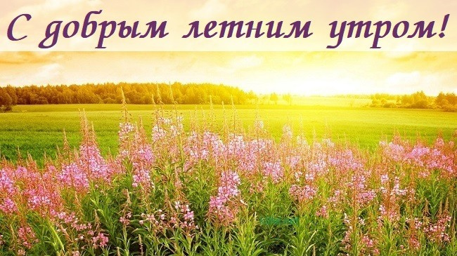 Картинки с добрым летним утром (195 открыток). Позитивные картинки с пожеланием Доброго летнего утра