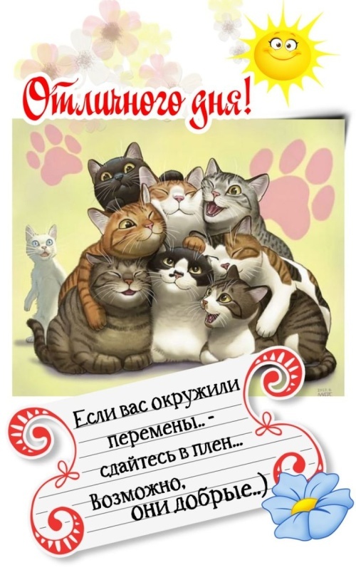 Красивые картинки "Хорошего дня" . Картинки Хорошего и доброго дня