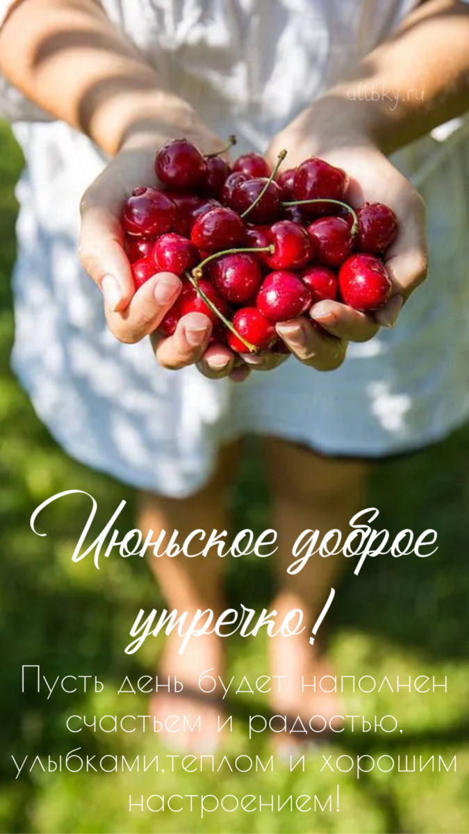 Картинки с добрым июньским утром (140 открыток). Позитивные картинки с пожеланием Доброго июньского утра
