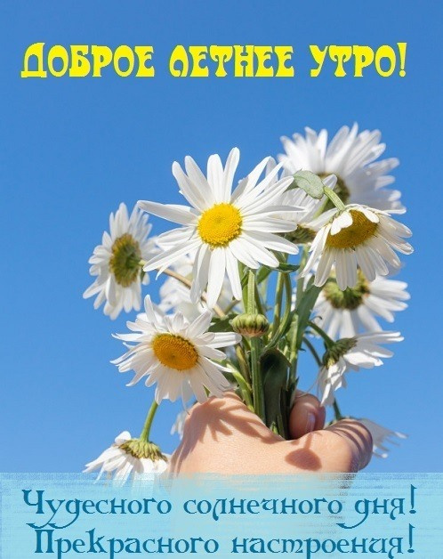 Картинки с добрым летним утром (195 открыток). Позитивные картинки с пожеланием Доброго летнего утра