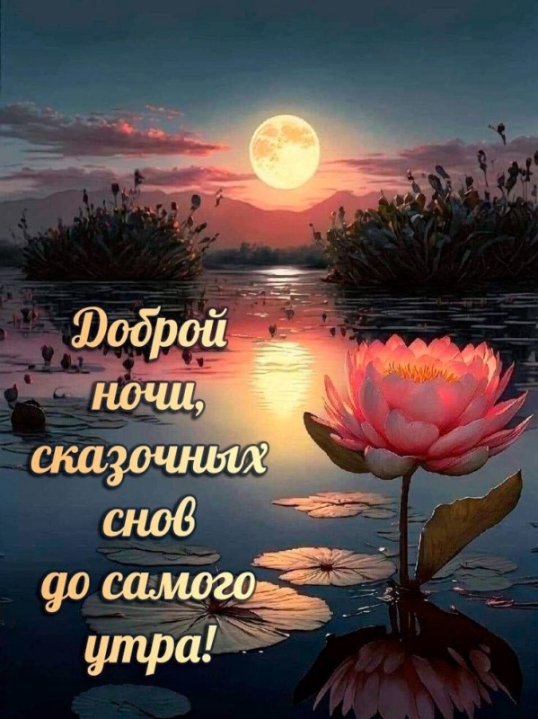 Картинки "Доброй летней ночи". Добрый летний вечер - картинки с пожеланиями