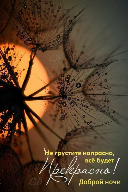 Картинки Спокойной ночи красивые, летние, прикольные. Красивые картинки "Спокойно ночи" летние