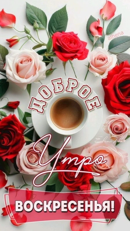 Картинки Доброе утро воскресенья (90 открыток). Картинки "Доброе утро воскресенья" красивые и новые