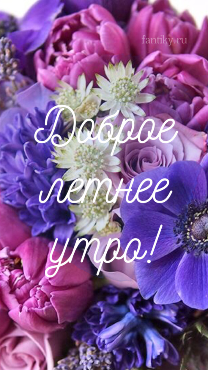 Картинки с добрым летним утром (195 открыток). Доброе летнее утро: картинки с надписями