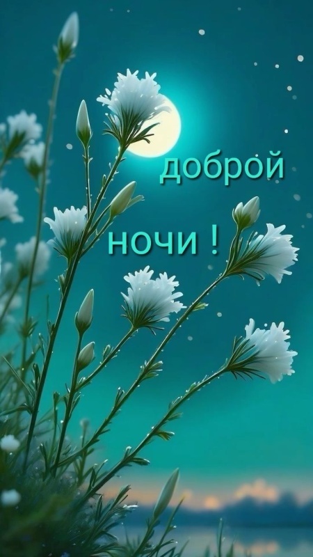 Картинки "Доброй летней ночи". Красивые открытки Доброй летней ночи с цветами