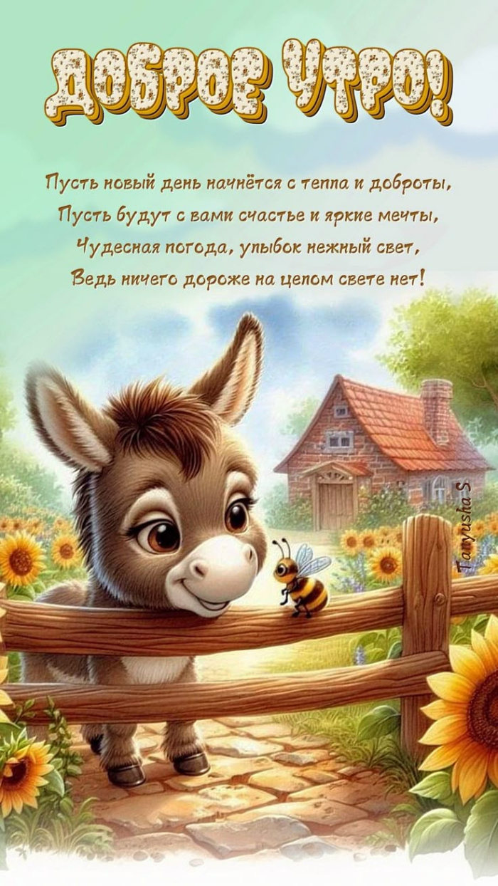 Картинки с добрым летним утром (70 открыток). Позитивные картинки Доброе летнее утро