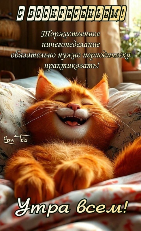 Картинки Доброе утро воскресенья (90 открыток). Прикольные картинки Доброе утро воскресенья