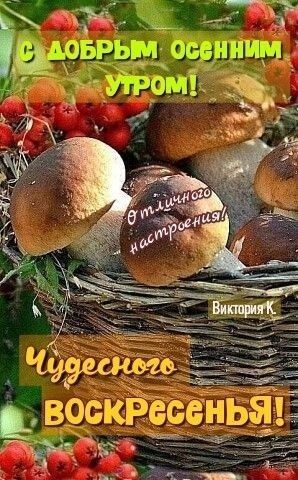 Картинки Доброе утро воскресенья (90 открыток). Картинки с надписью "Доброе утро воскресенья"