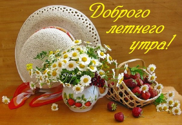 Картинки с добрым летним утром (195 открыток). Позитивные картинки с пожеланием Доброго летнего утра