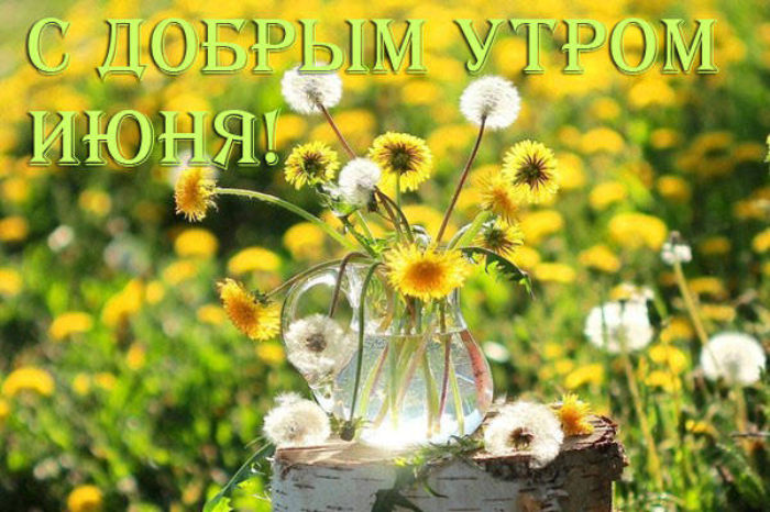 Картинки с добрым июньским утром (140 открыток). Доброе утро июня: картинки с надписями