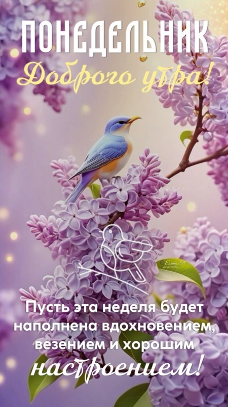 Открытки с Добрым утром понедельника (80 картинок). Картинки Доброе утро понедельника (красивые и новые)