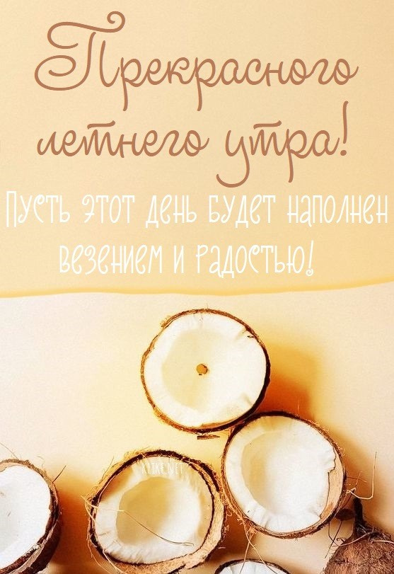 Картинки с добрым летним утром (195 открыток). Позитивные картинки с пожеланием Доброго летнего утра