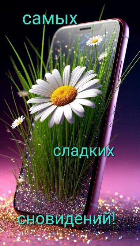 Картинки Спокойной ночи красивые, летние, прикольные. 