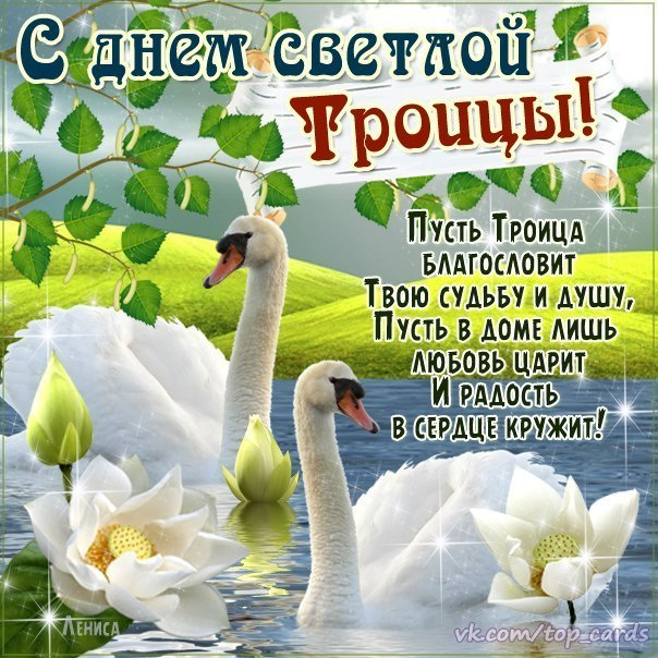 Картинки с Троицей (130 открыток). Троица: картинки с поздравлениями