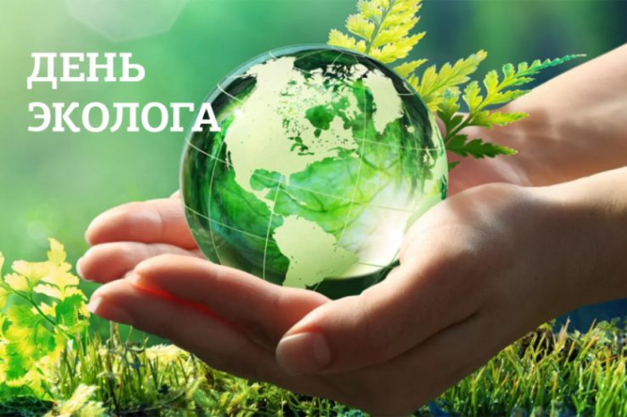 Картинки с Днем эколога (60 открыток). Красивые картинки с Днем эколога