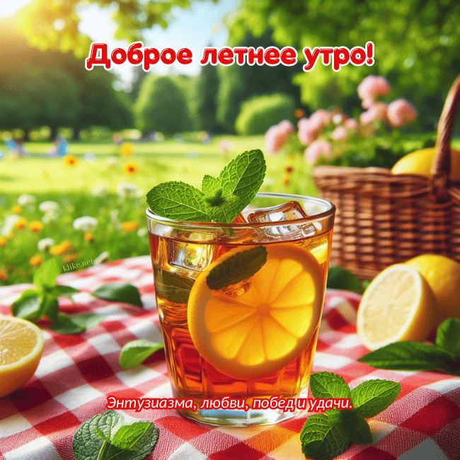 Картинки с добрым летним утром (195 открыток). Позитивные картинки с пожеланием Доброго летнего утра