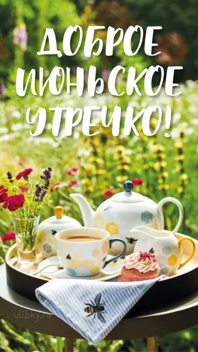 Картинки с добрым июньским утром (140 открыток). Позитивные картинки с пожеланием Доброго июньского утра