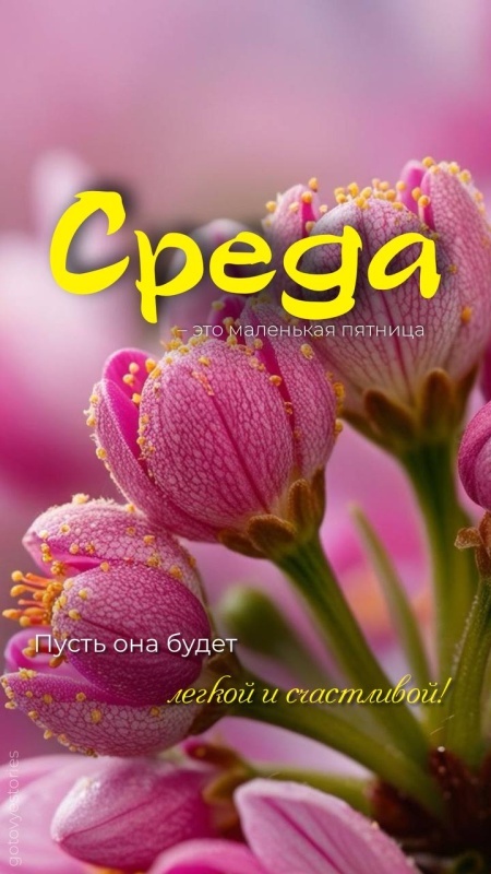 Картинки Доброе утро среды (90 открыток). Доброе утро среды - картинки с пожеланиями