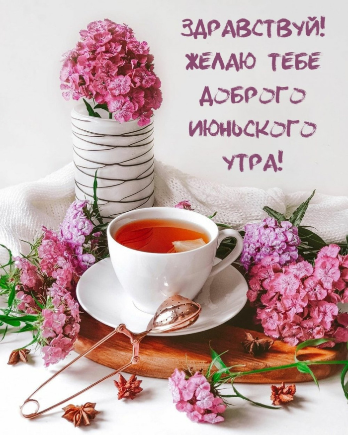 Картинки с добрым июньским утром (140 открыток). Доброе утро июня: картинки с надписями
