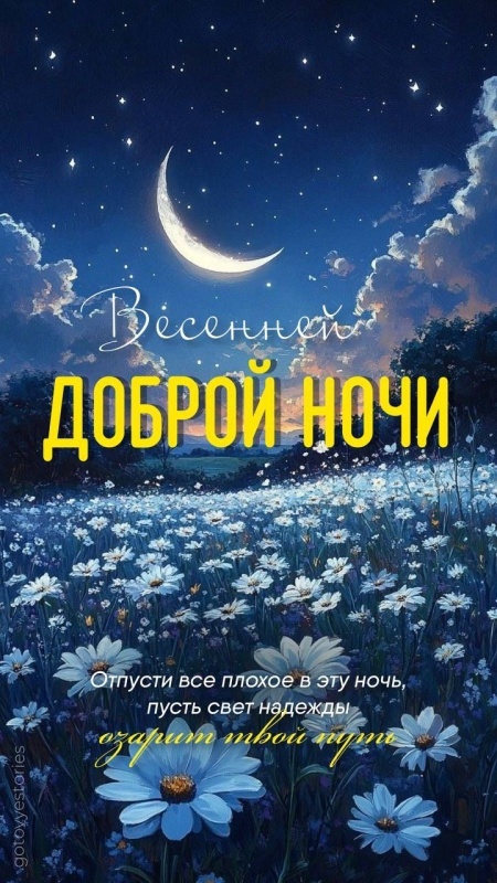 Картинки "Доброй летней ночи". Красивые открытки Доброй летней ночи с цветами