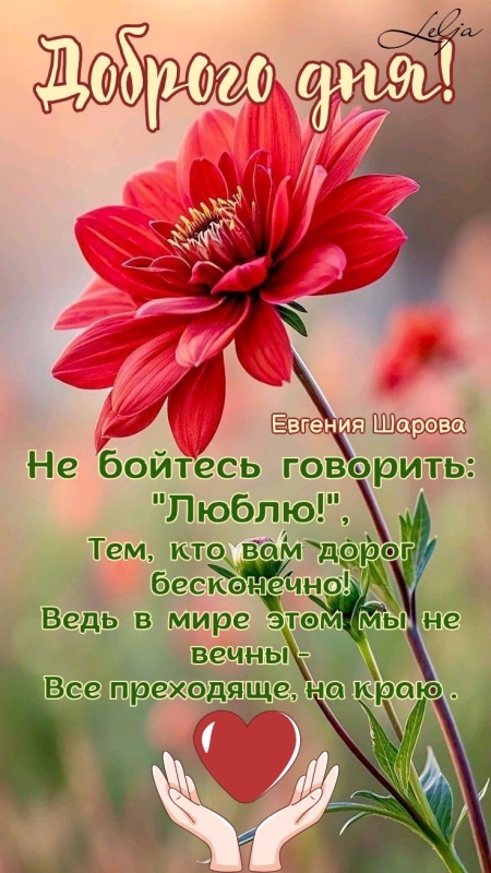 Красивые картинки "Хорошего дня" . Картинки "Хорошего дня" красивые летние