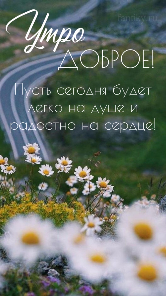 Картинки с добрым летним утром (195 открыток). Доброе летнее утро: картинки с надписями